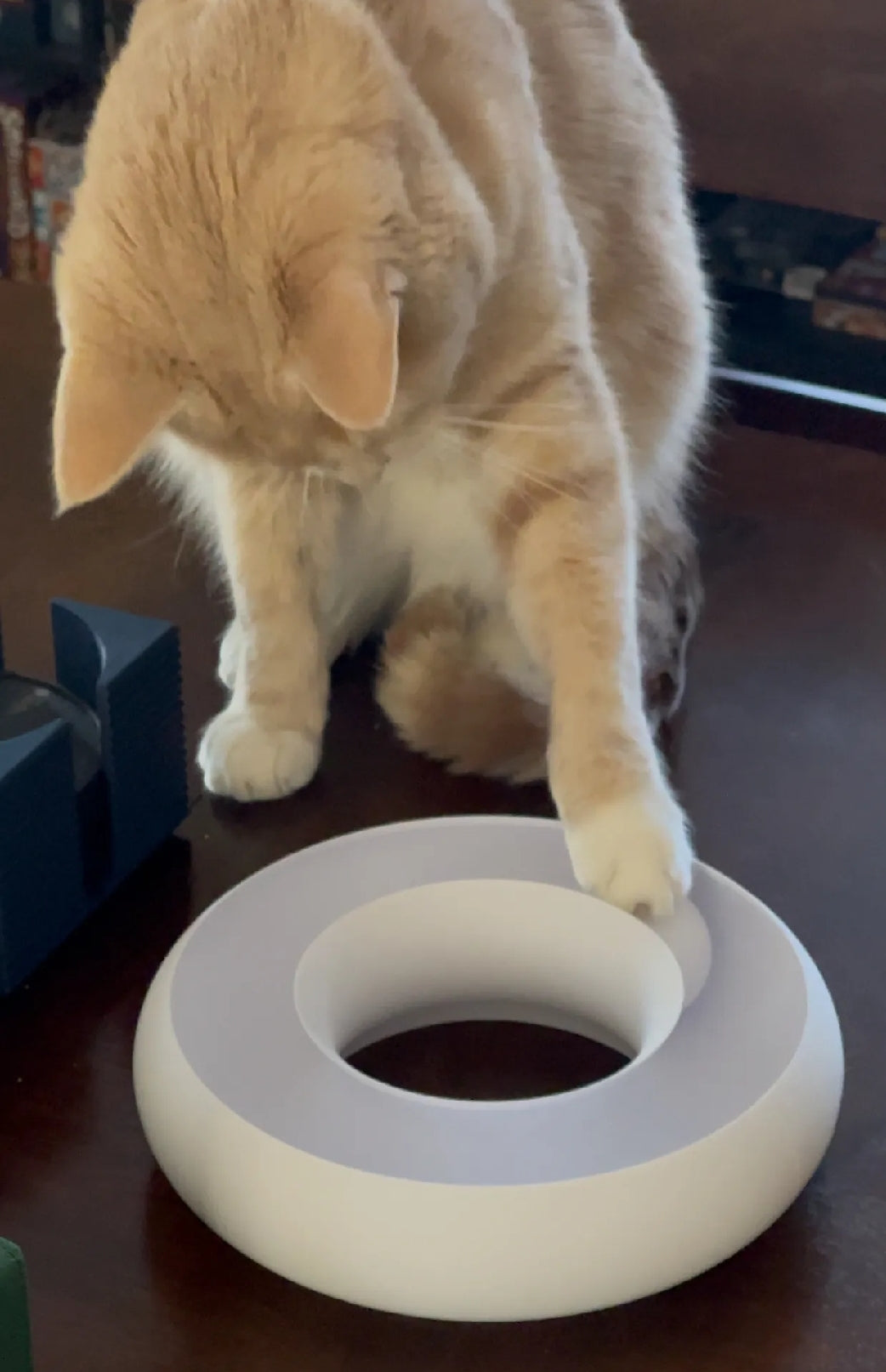 Cat ring toy donut new