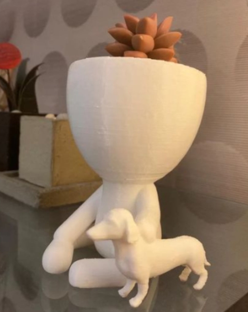 Figure with dachshund for succulent plants