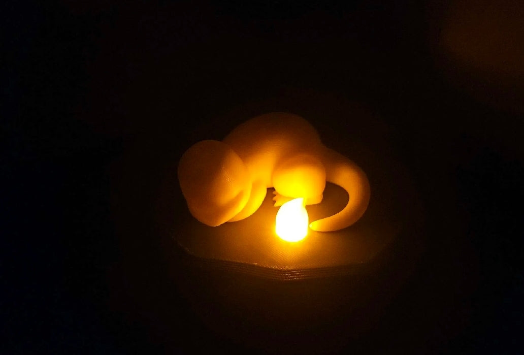 Charmander night light