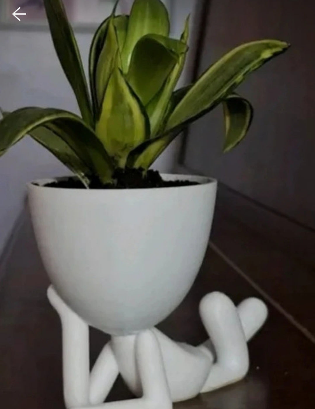 Figure lying down hand on the face for succulent plants