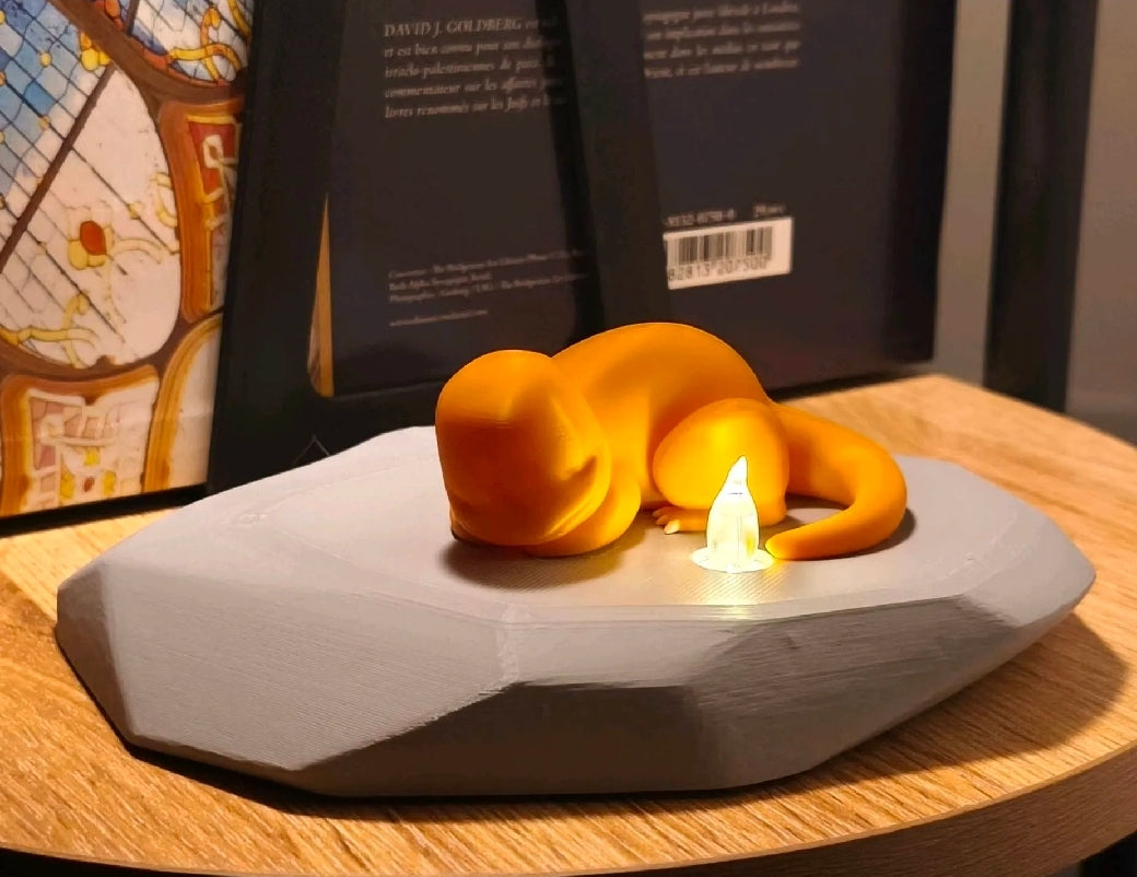 Charmander night light